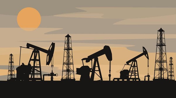 010c3fc06cfa9031ed5d8036ab07c1912c8da8da1687350cf81f2b318a6fcbfd.0