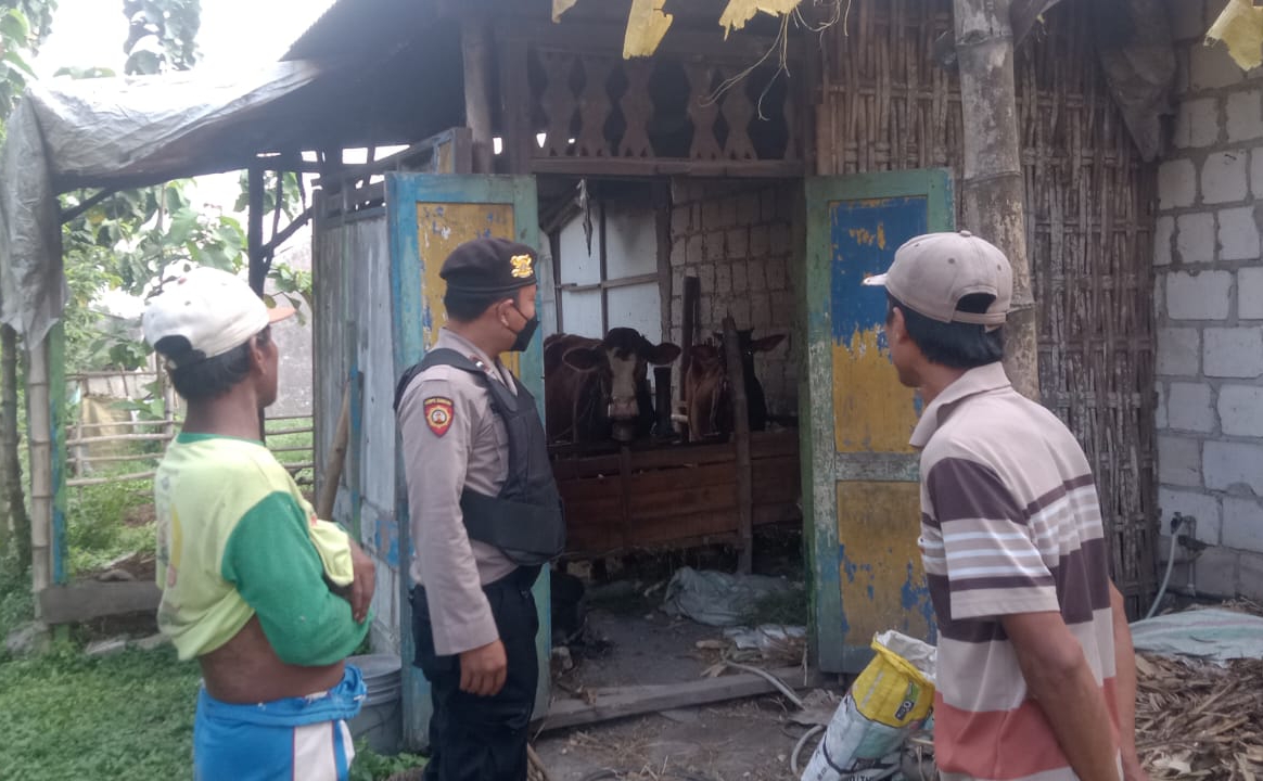 09f87b6d-e7e9-4e5e-b866-edcf85207bdf-1