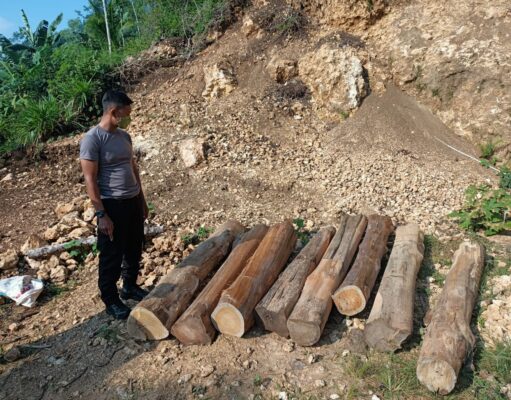 Polres Malang Berhasil Amankan Dua DPO Diduga Pelaku Illegal Logging