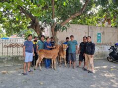 Patroli Kring Serse Polres Probolinggo Kota Berhasil Gagalkan Pencurian 2 Ekor Sapi