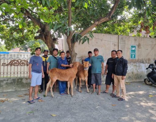 Patroli Kring Serse Polres Probolinggo Kota Berhasil Gagalkan Pencurian 2 Ekor Sapi