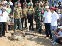 Menyongsong Hari Bhayangkara ke-77, Polda Bali Lepas Satwa Penyu