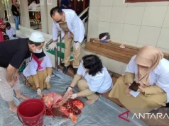 Pemkot Jaktim Kerahkan 143 Petugas Periksa Daging Kurban