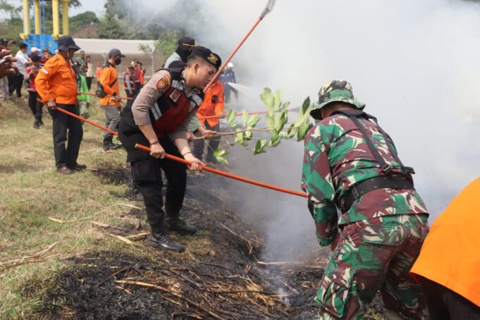 WhatsApp Image 2023-07-26 at 16.29.49