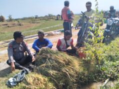 Polisi RW Patroli Dialogis dengan Petani Jaga Ketahanan Pangan di Ngawi