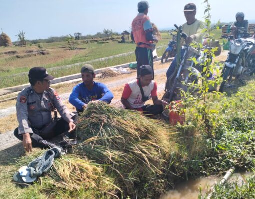Polisi RW Patroli Dialogis dengan Petani Jaga Ketahanan Pangan di Ngawi