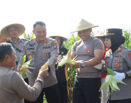 Polres Blitar Panen Jagung Manfaatkan Lahan Tidur Dukung Ketahanan Pangan