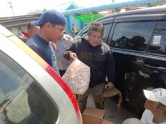 Polisi Berhasil Gagalkan Pengiriman 6.266 Butir Telur Penyu dari Kepri ke Kalbar via Kapal