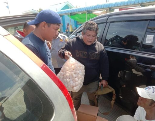 Polisi Berhasil Gagalkan Pengiriman 6.266 Butir Telur Penyu dari Kepri ke Kalbar via Kapal