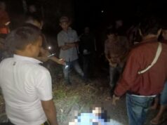 Unit Reskrim Polres Way Kanan Kejar Pelaku Tembak Mati Pengendara Motor Di Gunung Labuhan