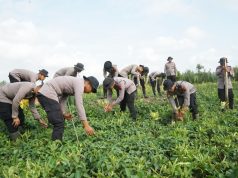 Peringati Hari Kemerdekaan RI Ke 78, Polresta Cilacap Tanam 1000 Pohon Mangrove