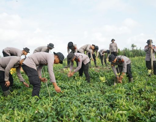 Peringati Hari Kemerdekaan RI Ke 78, Polresta Cilacap Tanam 1000 Pohon Mangrove