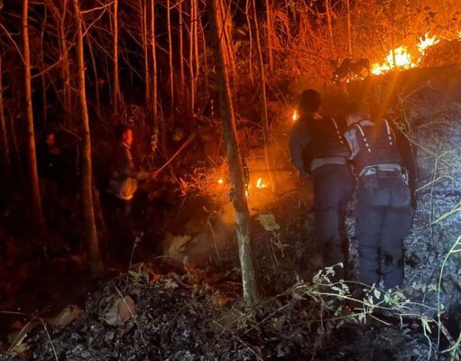 Sinergitas Polisi dan TNI Bersama Masyarakat Berhasil Padamkan Kebakaran Lahan di Magetan