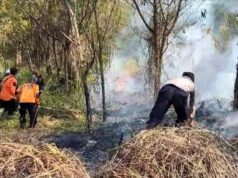 Polisi dan Petugas Gabungan Berhasil Padamkan Karthula di Kawasan TNBTS Ranupani Lumajang