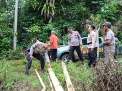 Polres Tanggamus Tanggamus Tinjau Area Masuknya Kawanan Gajah Liar di Perkebunan Warga Semaka