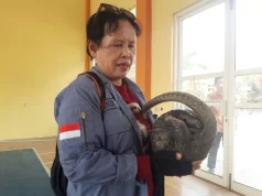 Hewan Langka Yang Dilindungi Masuk Pekarangan Warga Boyolali