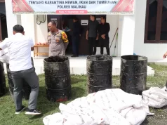 Barang Bukti Ratusan Kilo Daging Ayam Tanpa Dokumen Dimusnahkan Polres Malinau