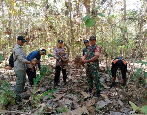 Laksanakan Patroli, Sinergitas Polresta Banyuwangi bersama TNI dan Perhutani Cegah Karhutla
