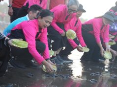 Lestarikan Ekosistem Laut, Bhayangkari Polri Lepas Tukik di Pantai Pangkung Tibah Tabanan