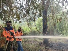 BPBD Perpanjang Status Darurat Karhutla di Kalbar