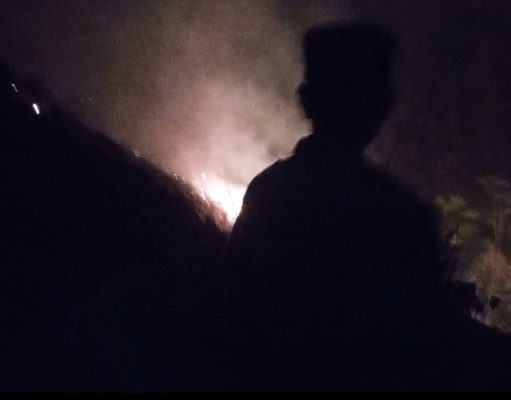 Kebakaran Hutan di Salaman, Polisi dan Lintas Sektor Lakukan Penanganan dan Pencegahan