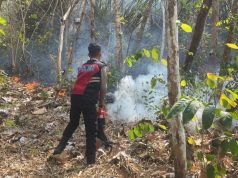 Berkat Kesigapan Petugas, Kebakaran Lahan di Ngetal Tak Meluas