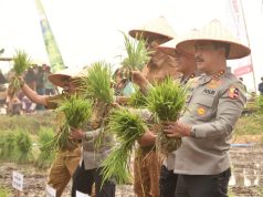 Wakapolri Gelar Panen Raya dan Tanam Ulang Polri Presisi