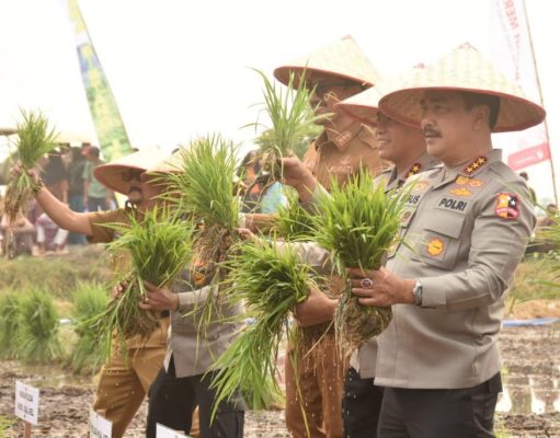 Wakapolri Gelar Panen Raya dan Tanam Ulang Polri Presisi