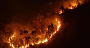Penetapan Status Tanggap Darurat Diusulkan Akibat Kebakaran Gunung Lawu