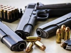 12 Senpi di Rumah Dinas Mentan SYL Legalitasnya Masih Dalam Penyelidikan