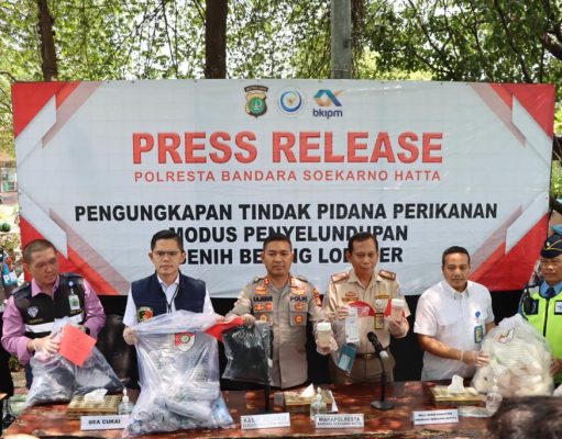 Polresta Bandara Soetta Gagalkan Penyelundupan Benih Lobster Senilai Rp 11,4 Miliar ke Singapura