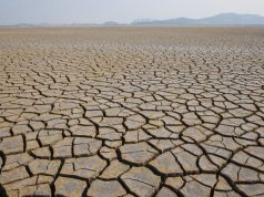 Menurut BMKG, Dampak Dari El Nino: Di Bandung Lebih Terasa Panas dan Kering