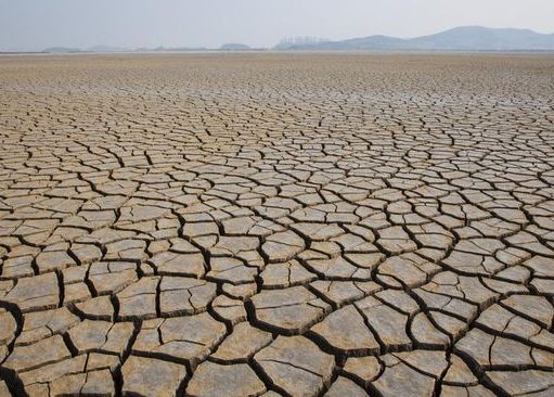 Menurut BMKG, Dampak Dari El Nino: Di Bandung Lebih Terasa Panas dan Kering