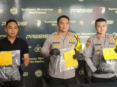 Pembunuhan didekat Lobi Mal Central Park, Pelaku Mengidap Skizofrenia Paranoid