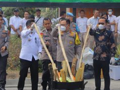 Polda Lampung Musnahkan Barang Bukti Narkoba Senilai Kurang Lebih 200 Miliar