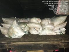 Polsek Katingan Hilir Dan APH Tak Merespon Aduan Terkait Temuan Truk Pengangkut Zirkon Ilegal