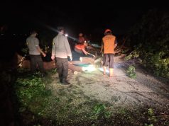 Gerak Cepat Polsek Karangtengah Bersama BPBD dan Warga Evakuasi Pohon Tumbang di Jalan