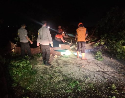 Gerak Cepat Polsek Karangtengah Bersama BPBD dan Warga Evakuasi Pohon Tumbang di Jalan