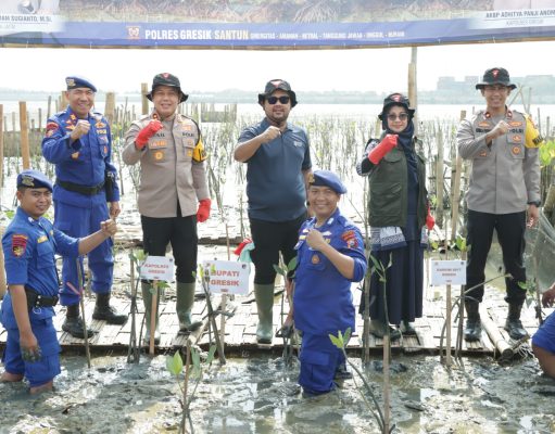 Kapolres Gresik Dampingi Kapolda Jatim Tanam 18.300 Bibit Mangrove