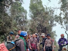 Seluruh Pendaki Gunung Marapi Yang Terdata Ditemukan