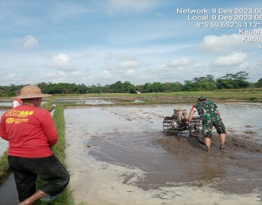 Hadir Di Tengah Masyarakat, Babinsa Koramil Talun Bantu Pengolahan Dan Penyiapan Lahan Pertanian Warga Binaannya