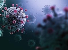 Dinas Kesehatan DKI Temukan Dua Kasus Kematian di Jakarta Akibat COVID-19