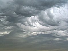 Rabu, Cuaca Jakarta Berpotensi Cerah Berawan dari Pagi Hingga Malam