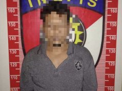 Setelah DPO Selama 1 Tahun, Tersangka Ilegal Logging Diringkus Polres Lamtim