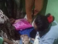 Gara-Gara Masukan Tangan Ke Lubang, Balita di Tangerang Meninggal Dunia Digigit Ular Kobra