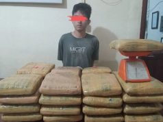 Kurir Pembawa 35 Kilogram Ganja Berhasil Diamankan di Padangsidempuan