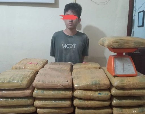 Kurir Pembawa 35 Kilogram Ganja Berhasil Diamankan di Padangsidempuan