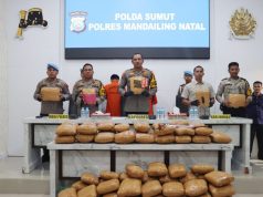 Polres Madina Ungkap Kasus Narkoba: Dua Tersangka dan 116 Kilo Ganja Diamankan