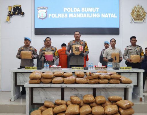 Polres Madina Ungkap Kasus Narkoba: Dua Tersangka dan 116 Kilo Ganja Diamankan