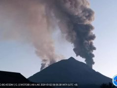 Erupsi Lewotobi Mengakibatkan 1.172 Warga Wulanggitang NTT Mengungsi